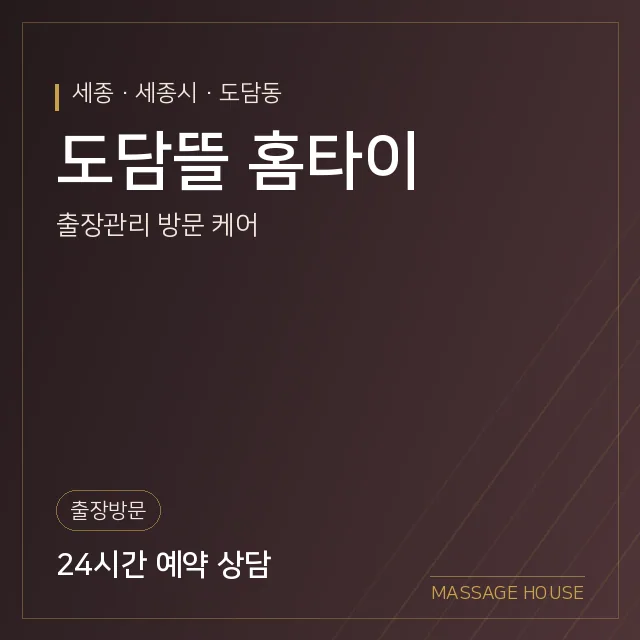 세종 세종시 도담뜰 홈타이 출장마사지 안내 이미지