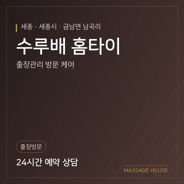 세종 세종시 수루배 홈타이 출장마사지 안내 이미지
