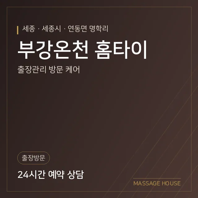 세종 세종시 부강온천 홈타이 출장마사지 안내 이미지
